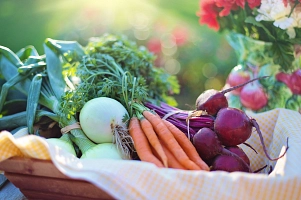 Gemüse aus der Region © Pixabay