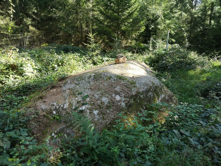 Naturdenkmal Dicker Stein im Kuhstedter Wald © Gemeinde Gnarrenburg
